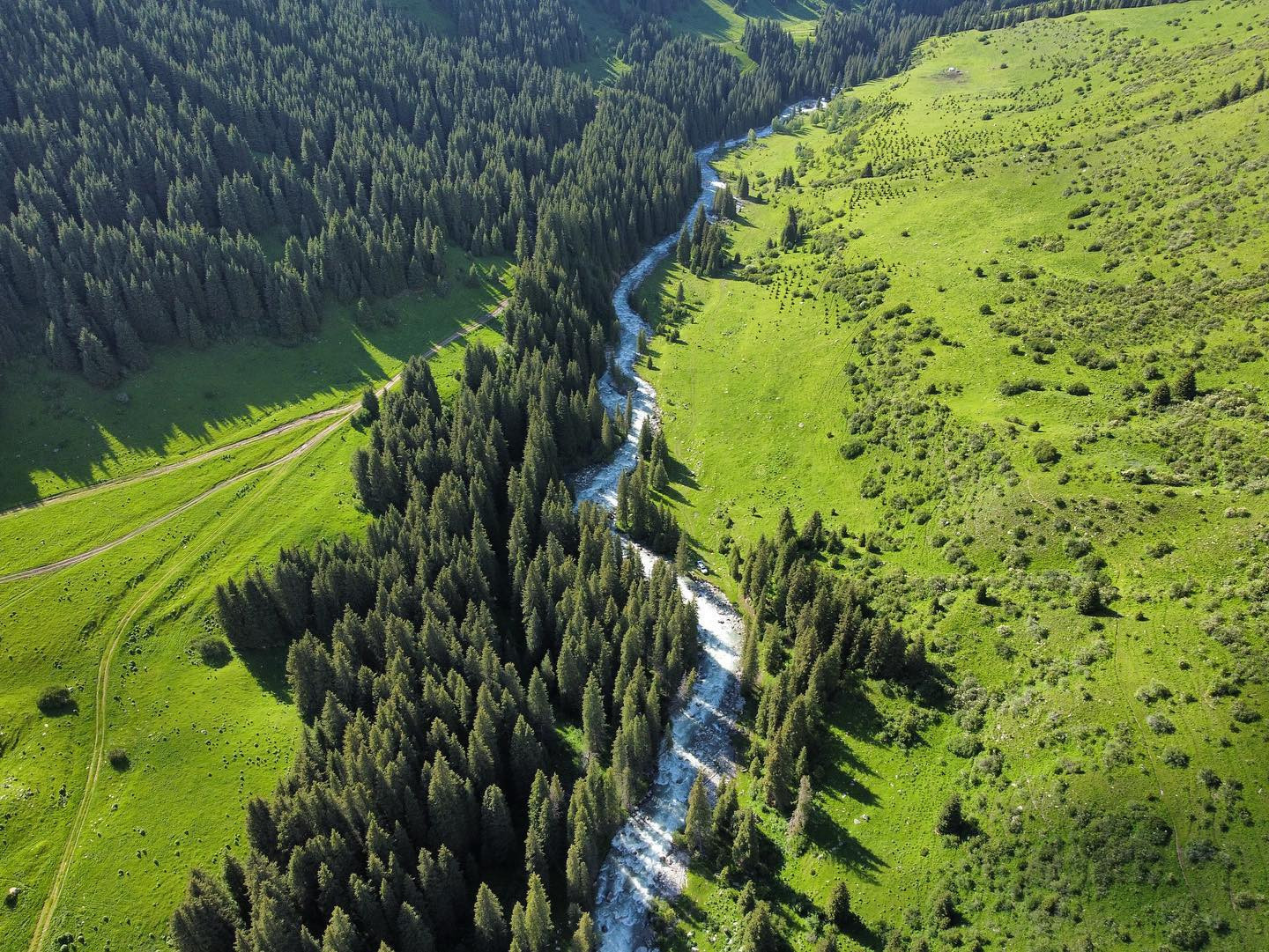 Destination Training Hub — туризмдеги келечек карьераңдын башаты!