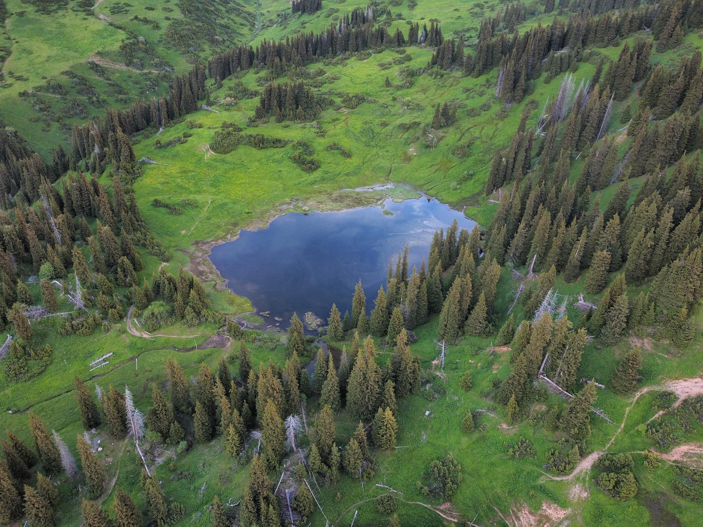 Биз жөнүндө